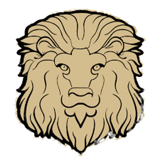 Lion Image